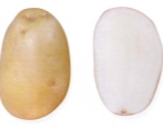 Kartoffeln Newski