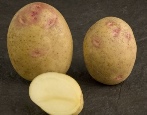 Picasso-Kartoffeln