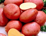 Romano-Kartoffeln