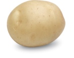 Sifra-Kartoffeln