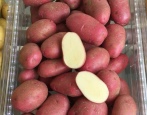 Kartoffeltornado