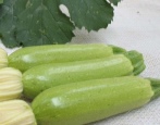Zucchini-Suha