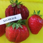 Erdbeerurlaub