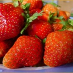 Erdbeere Lyubava