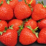 Erdbeerfenella