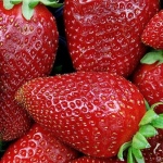 Florian jordbær