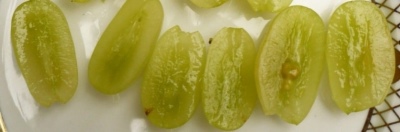Raisins de Sicile