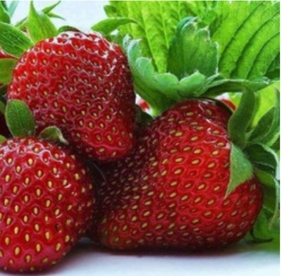 Strawberry Carmen