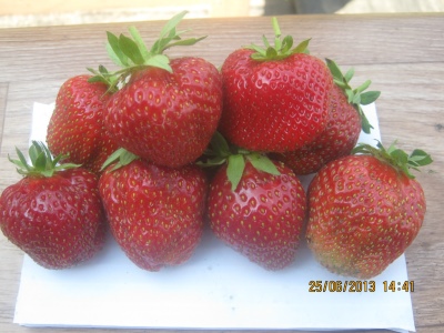 Lambada aux fraises