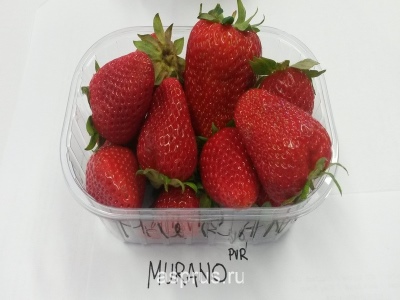 căpșuni de Murano