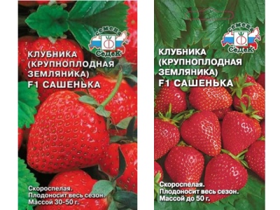 草莓萨申卡