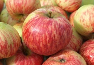 Jablečně skořicový pruhovaný