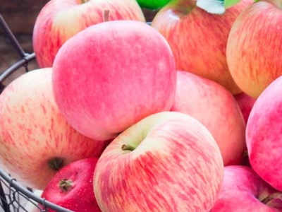 Æbletræ Pink Hæld