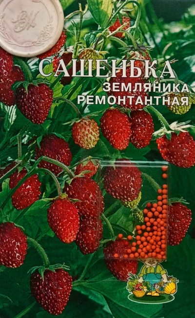 Sacha aux fraises