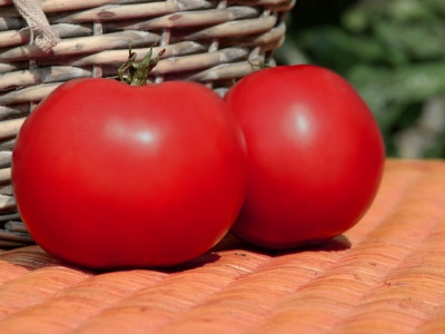 Afen tomaat