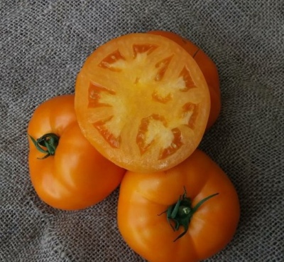 Tomaten-Aisan