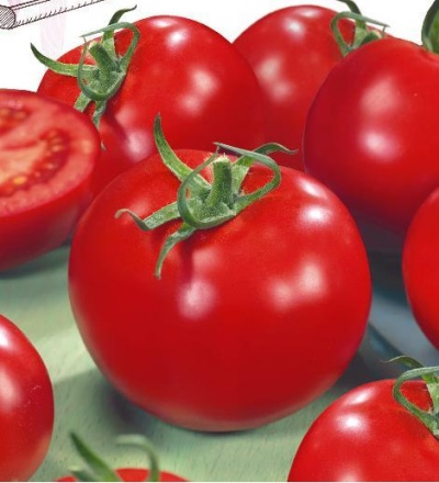 Tomate Alaska