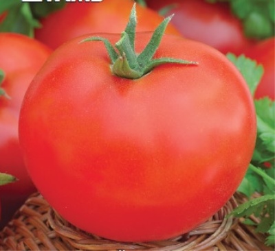 Tomate Amur bole