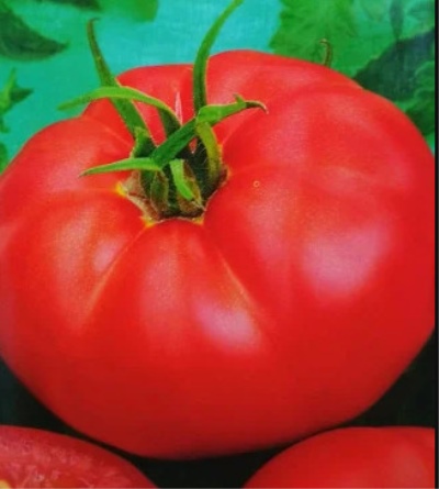 El secreto de la abuela del tomate