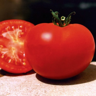 Bagheera tomato