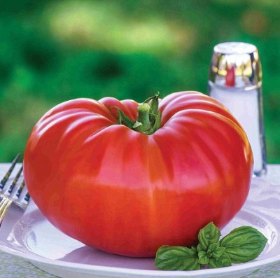 Berdsky grosse tomate