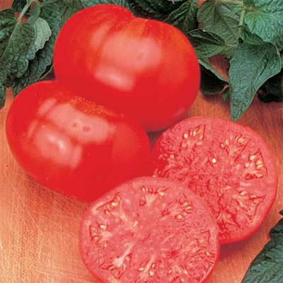 Filete de ternera con tomate