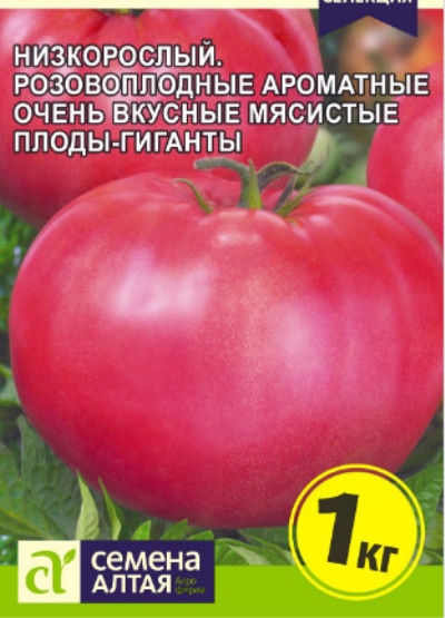 Tomat Biysk rosean