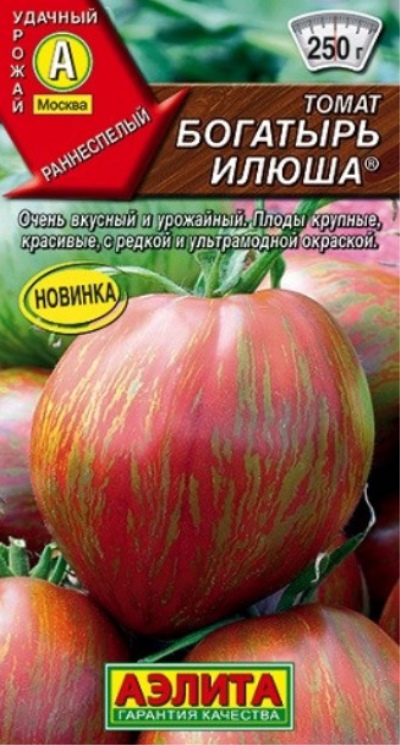 Tomato Bogatyr Ilyusha