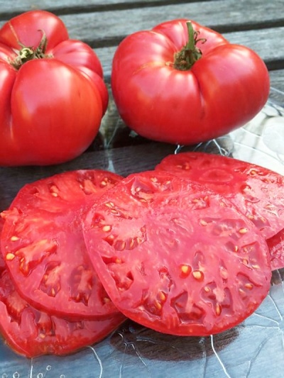Tomato Bulgarian miracle
