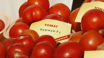 Tomate Bourgeois