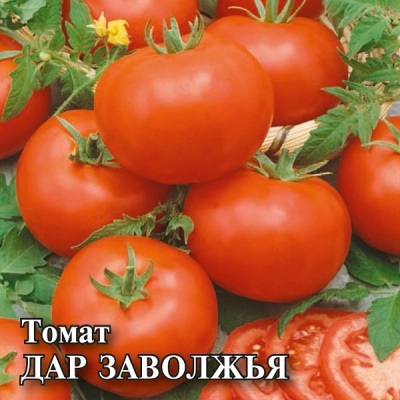 Tomato Gift of the Volga region