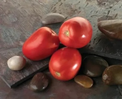 Tomate Diabolique