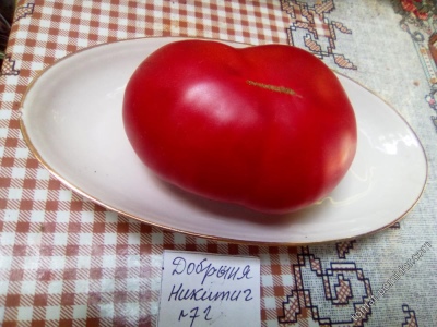 番茄 Dobrynya Nikitich