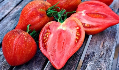 Corazón triturado de tomate