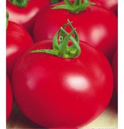 Tomato Dubrava