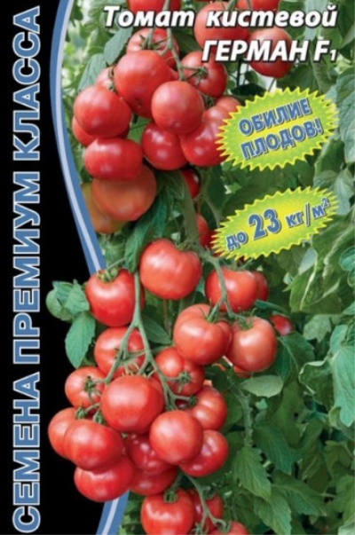 Tomat Herman