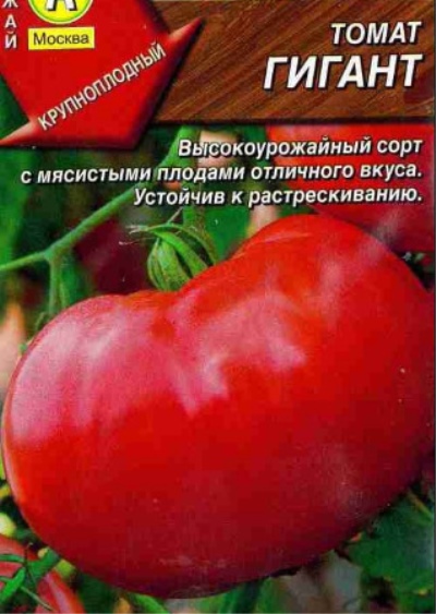 Tomatenreus