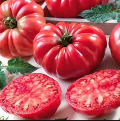 Higo de tomate rosa