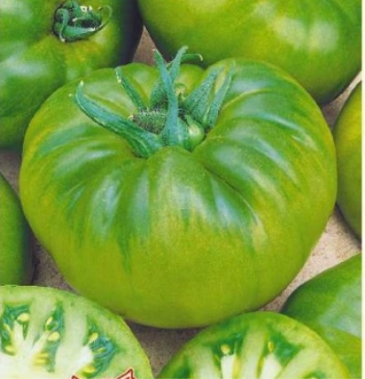 Tomaten Smaragd Standaard