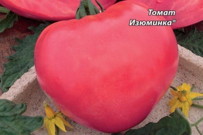 Tomatskal