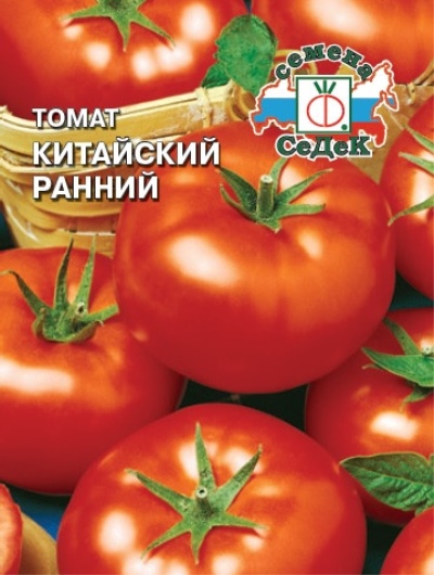 tomato awal cina