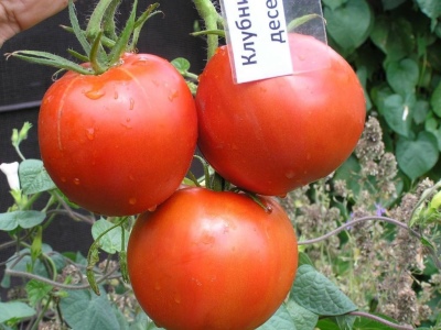 Postre de tomate y fresa