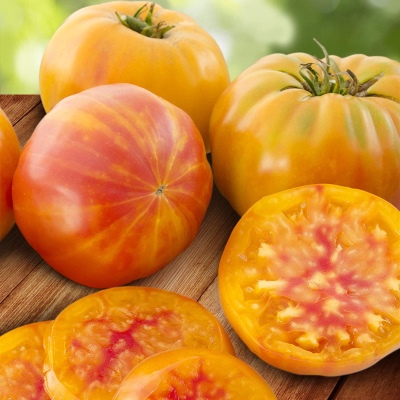 Acertijo del tomate de la naturaleza