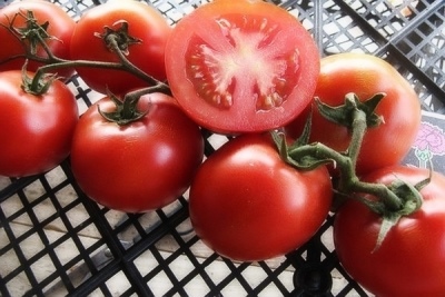 Acertijo de tomate