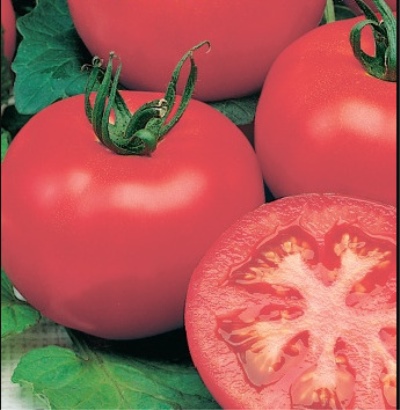 Resplandor de tomate