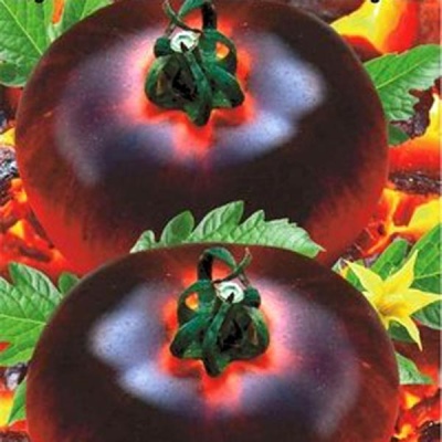 Tomate Heiße Kohlen