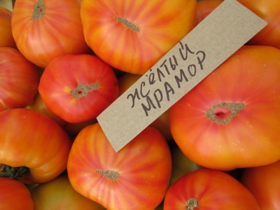 Marbre Jaune Tomate