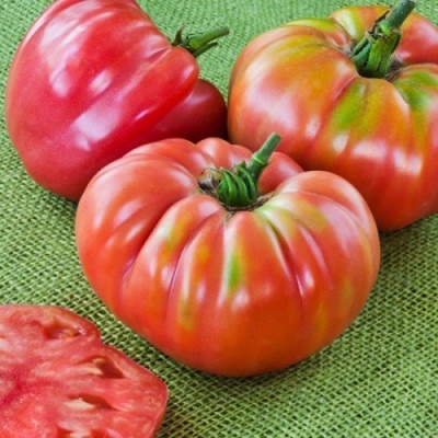عملاق الطماطم Zimarevsky