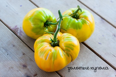 Cúpulas doradas de tomate