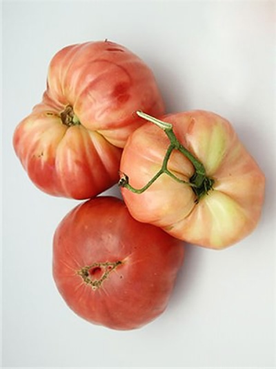 Cadeau royal de tomate